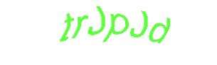 عبارت امنیتی