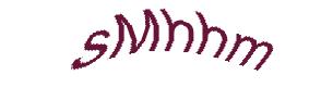 عبارت امنیتی