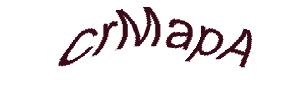 عبارت امنیتی
