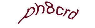 عبارت امنیتی