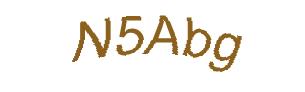 عبارت امنیتی