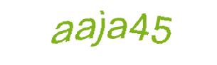عبارت امنیتی