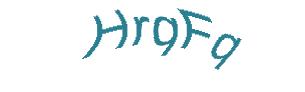 عبارت امنیتی