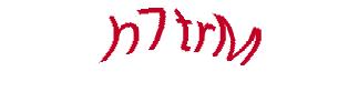 عبارت امنیتی