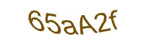 عبارت امنیتی