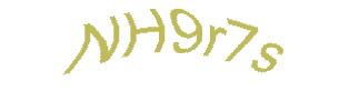 عبارت امنیتی