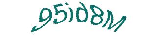 عبارت امنیتی