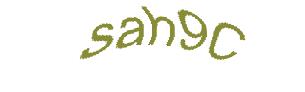 عبارت امنیتی