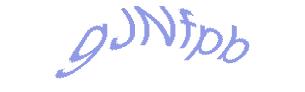 عبارت امنیتی