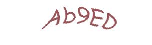 عبارت امنیتی