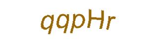 عبارت امنیتی