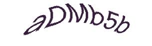 عبارت امنیتی
