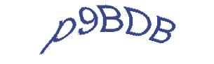 عبارت امنیتی