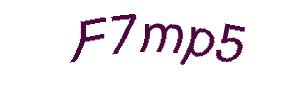 عبارت امنیتی