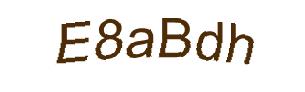 عبارت امنیتی