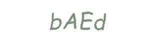 عبارت امنیتی