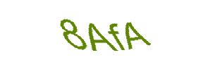 عبارت امنیتی