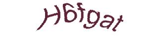 عبارت امنیتی