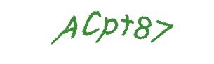 عبارت امنیتی