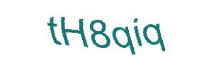 عبارت امنیتی