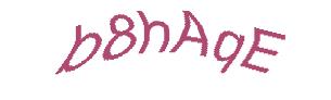 عبارت امنیتی