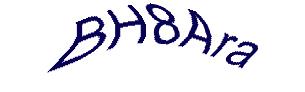 عبارت امنیتی