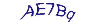 عبارت امنیتی