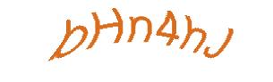عبارت امنیتی