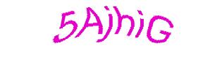 عبارت امنیتی
