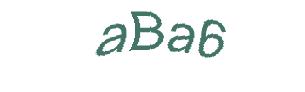 عبارت امنیتی