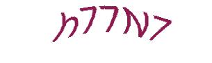 عبارت امنیتی