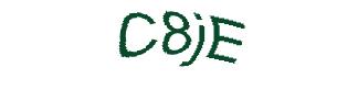 عبارت امنیتی