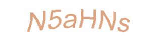 عبارت امنیتی