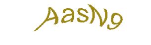 عبارت امنیتی