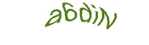 عبارت امنیتی