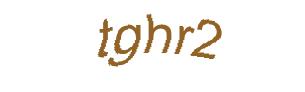 عبارت امنیتی