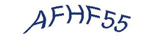 عبارت امنیتی