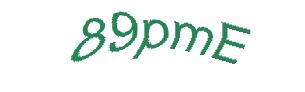 عبارت امنیتی