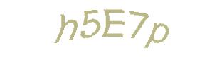 عبارت امنیتی