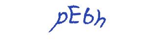 عبارت امنیتی