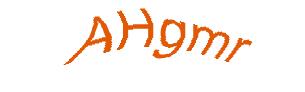 عبارت امنیتی