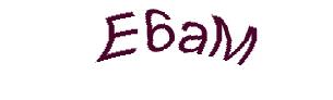 عبارت امنیتی
