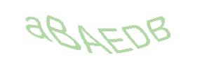 عبارت امنیتی