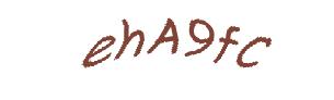 عبارت امنیتی