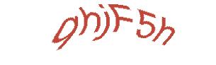 عبارت امنیتی