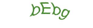 عبارت امنیتی