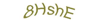 عبارت امنیتی
