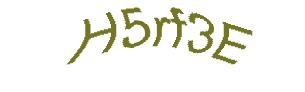 عبارت امنیتی