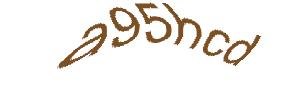عبارت امنیتی