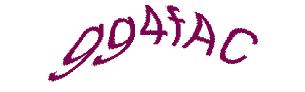 عبارت امنیتی
